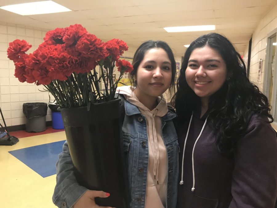 Art Club Selling Valentines Day Carnations for $1