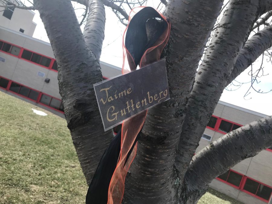 A ribbon outside Peekskill High School memorializes a victim of the Parkland shooting. 