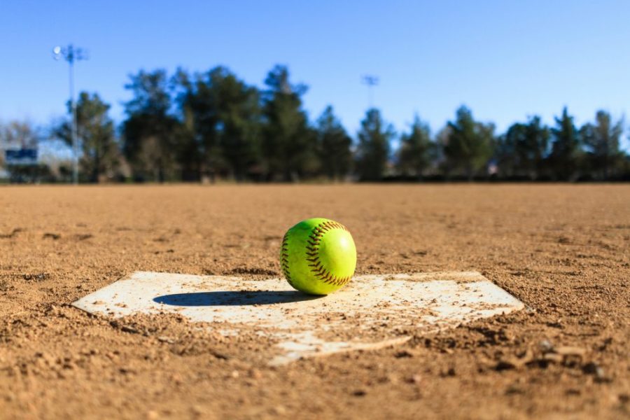 Softball Season 2019